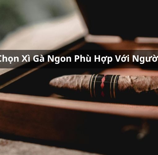 cách chọn xì gà