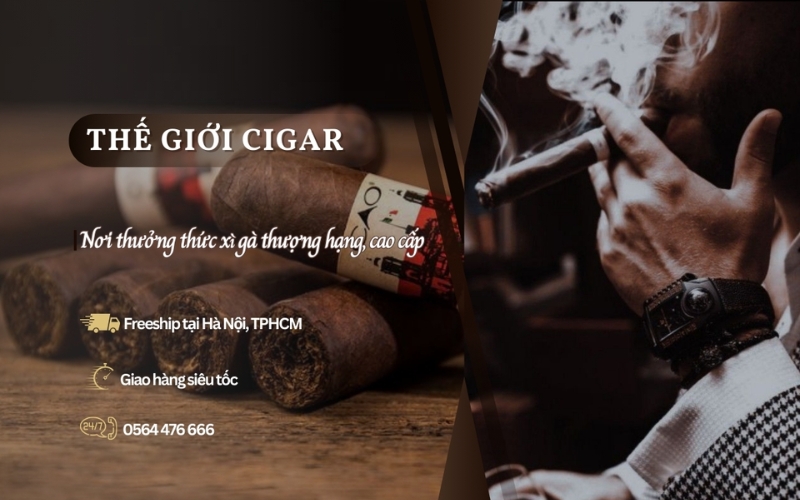 Đơn vị kinh doanh xì gà chính hãng thegioicigar